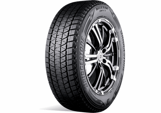 Bridgestone Blizzak Dm V3