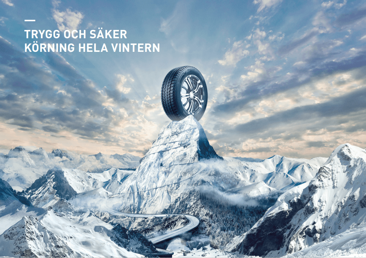 Blizzak DM-V3